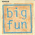 Icehouse : Big Fun